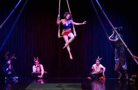 aerial trapeze entertainment