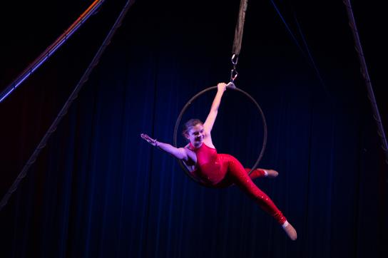 aerial hoop event performer