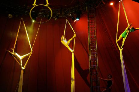 aerial arts, circus performance