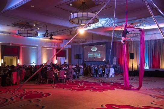 aerial silks event entertainment indoors