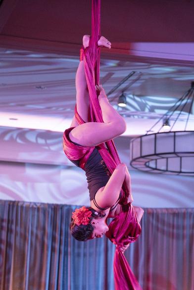 woman performs aerial silks st louis
